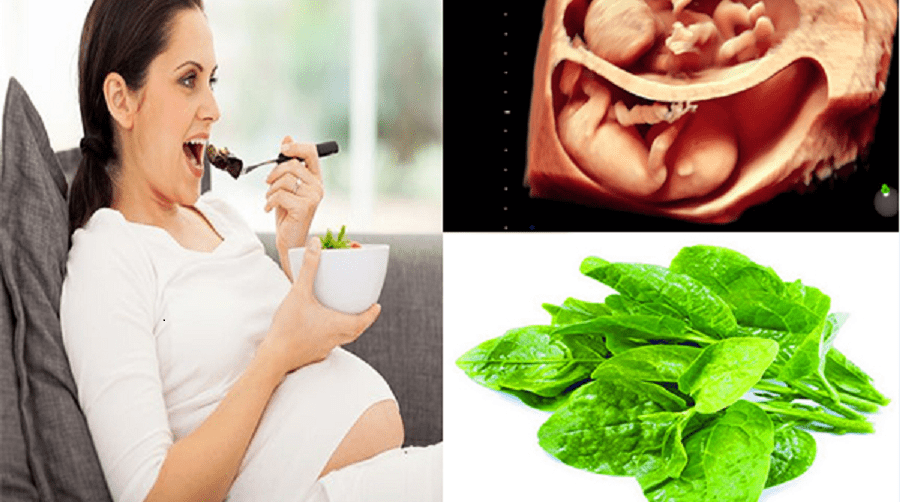 Tư vấn nhanh: Mang thai 3 tháng đầu có nên ăn mồng tơi? 1
